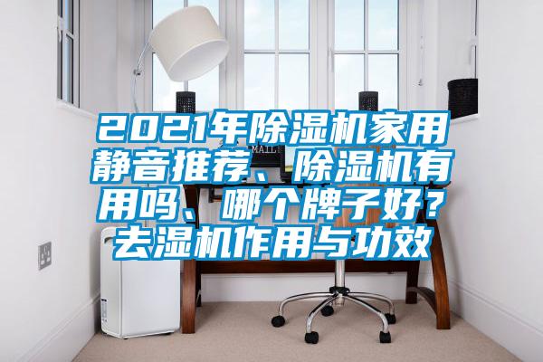 2021年除濕機家用靜音推薦、除濕機有用嗎、哪個牌子好？去濕機作用與功效