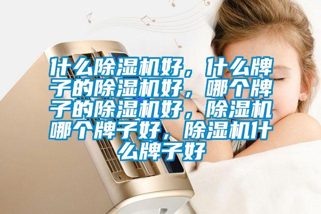 什么除濕機好，什么牌子的除濕機好，哪個牌子的除濕機好，除濕機哪個牌子好，除濕機什么牌子好