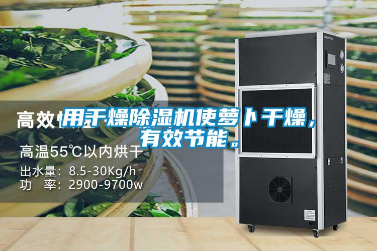 用干燥除濕機使蘿卜干燥，有效節能。