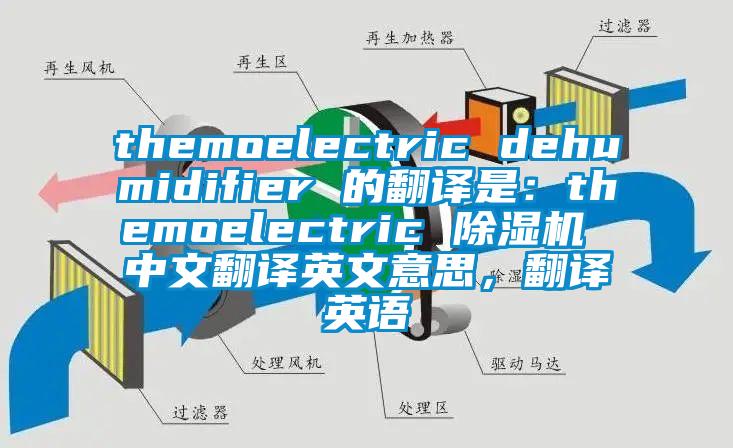 themoelectric dehumidifier 的翻譯是：themoelectric 除濕機 中文翻譯英文意思，翻譯英語