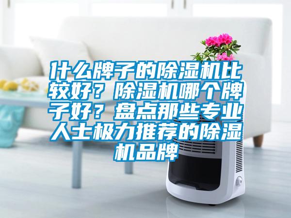 什么牌子的除濕機比較好？除濕機哪個牌子好？盤點那些專業(yè)人士極力推薦的除濕機品牌