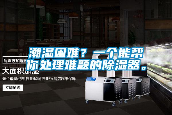 潮濕困難?一個能幫你處理難題的除濕器。