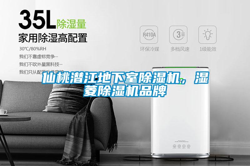 仙桃潛江地下室除濕機,濕菱除濕機品牌