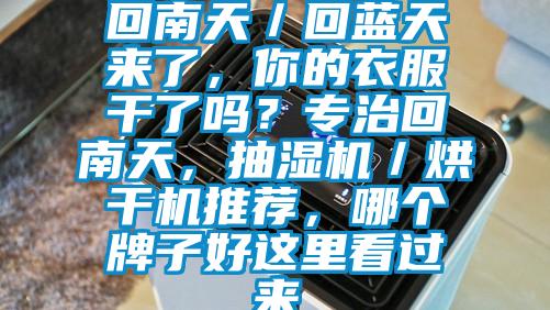 回南天／回藍天來了，你的衣服干了嗎？專治回南天，抽濕機／烘干機推薦，哪個牌子好這里看過來