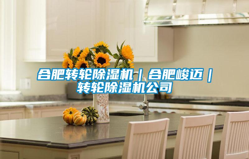 合肥轉(zhuǎn)輪除濕機|合肥峻邁|轉(zhuǎn)輪除濕機公司