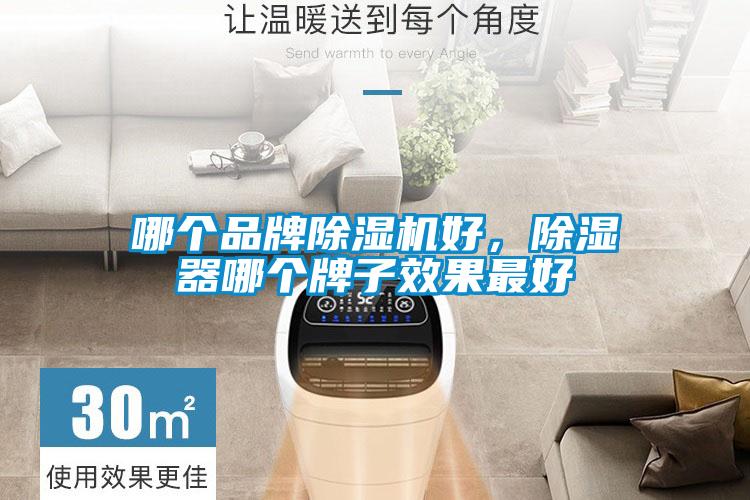 哪個(gè)品牌除濕機(jī)好，除濕器哪個(gè)牌子效果最好