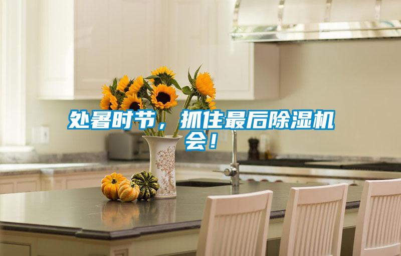 處暑時節，抓住最后除濕機會！