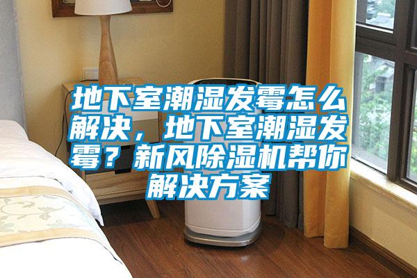 地下室潮濕發(fā)霉怎么解決，地下室潮濕發(fā)霉？新風除濕機幫你解決方案