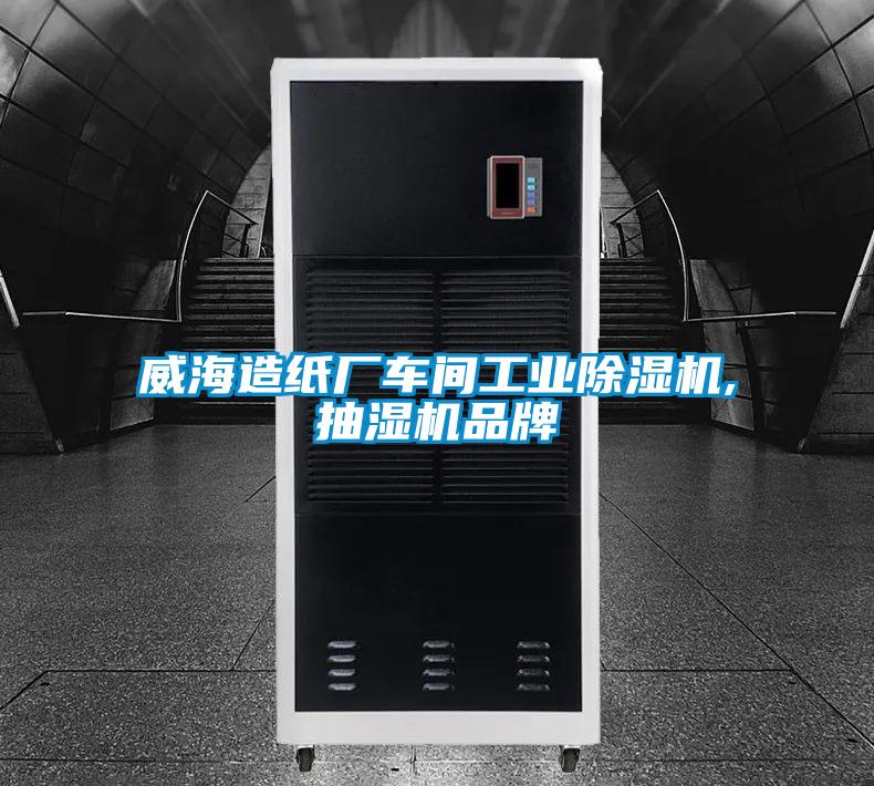 威海造紙廠車(chē)間工業(yè)除濕機(jī),抽濕機(jī)品牌
