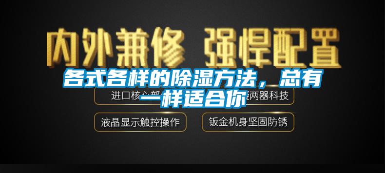 各式各樣的除濕方法，總有一樣適合你