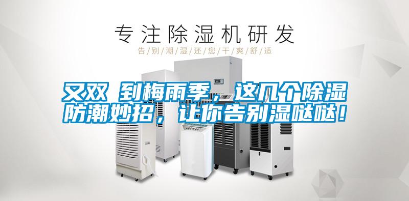 又雙叒到梅雨季，這幾個除濕防潮妙招，讓你告別濕噠噠！