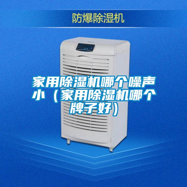 家用除濕機(jī)哪個(gè)噪聲?。矣贸凉駲C(jī)哪個(gè)牌子好）