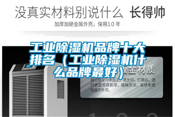 工業(yè)除濕機(jī)品牌十大排名(工業(yè)除濕機(jī)什么品牌最好)