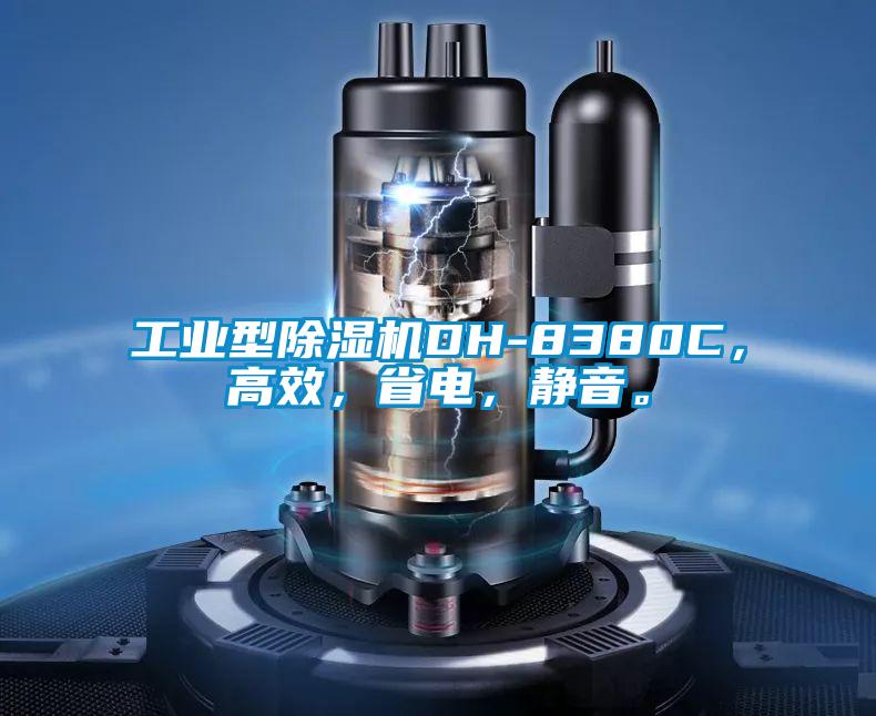工業(yè)型除濕機DH-8380C，高效，省電，靜音。