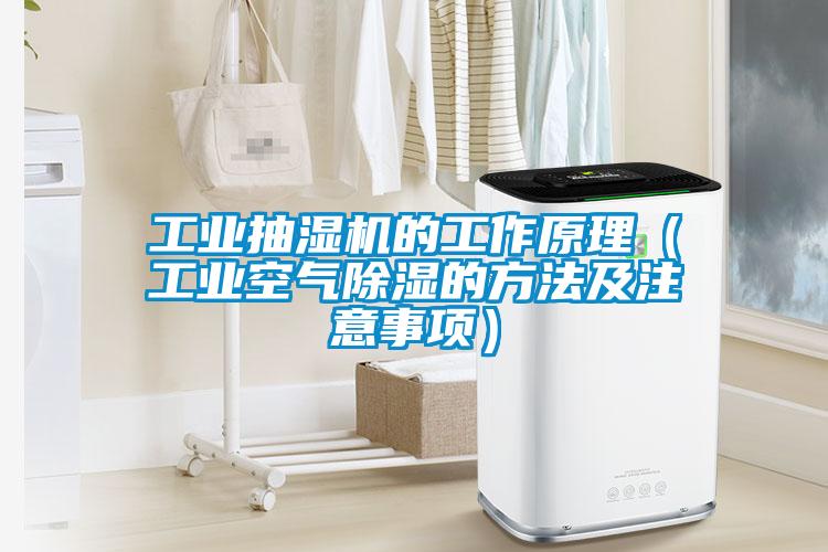 工業抽濕機的工作原理（工業空氣除濕的方法及注意事項）