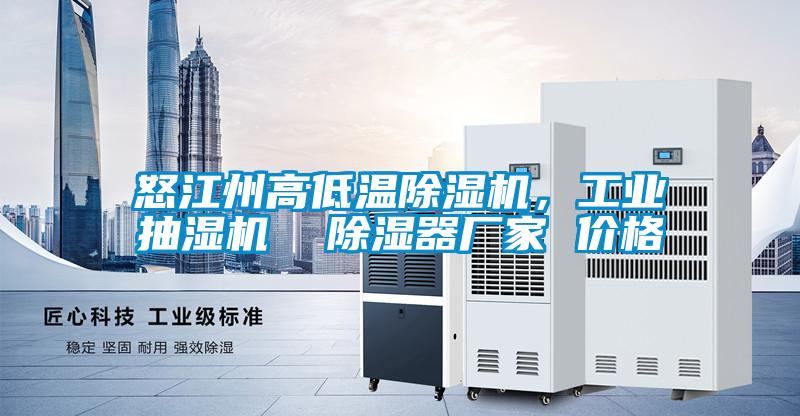 怒江州高低溫除濕機，工業(yè)抽濕機  除濕器廠家 價格