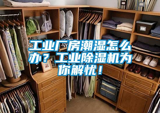 工業廠房潮濕怎么辦？工業除濕機為你解憂！