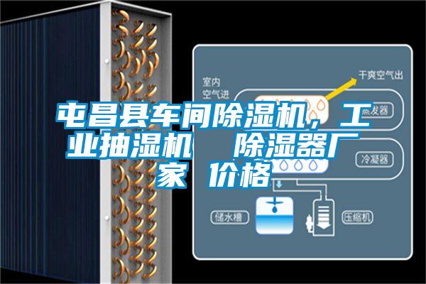 屯昌縣車間除濕機，工業抽濕機  除濕器廠家 價格
