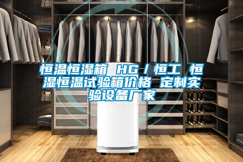 恒溫恒濕箱 HG/恒工 恒濕恒溫試驗(yàn)箱價(jià)格 定制實(shí)驗(yàn)設(shè)備廠家