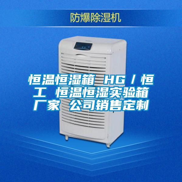 恒溫恒濕箱 HG/恒工 恒溫恒濕實驗箱廠家 公司銷售定制