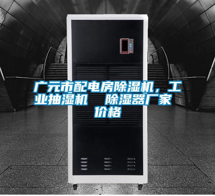 廣元市配電房除濕機(jī)，工業(yè)抽濕機(jī)  除濕器廠家 價(jià)格