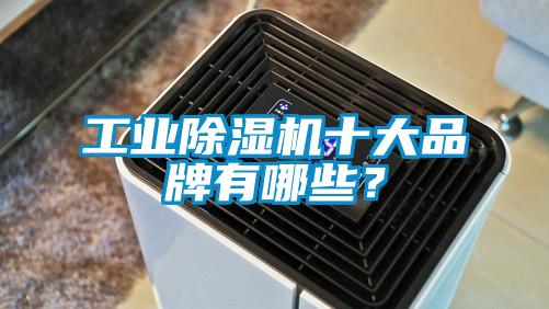 工業(yè)除濕機十大品牌有哪些？