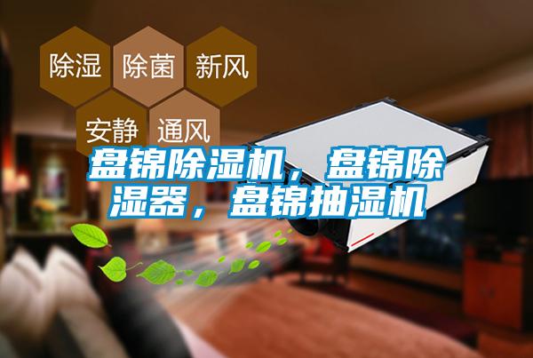 盤(pán)錦除濕機(jī)，盤(pán)錦除濕器，盤(pán)錦抽濕機(jī)