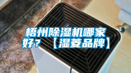 梧州除濕機哪家好？【濕菱品牌】