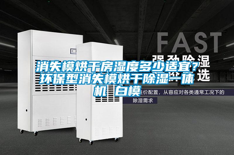 消失模烘干房濕度多少適宜？環保型消失模烘干除濕一體機 白模