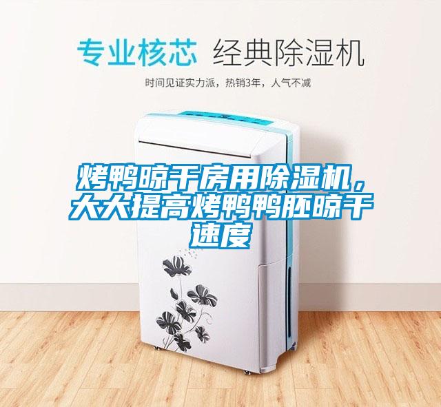 烤鴨晾干房用除濕機,大大提高烤鴨鴨胚晾干速度