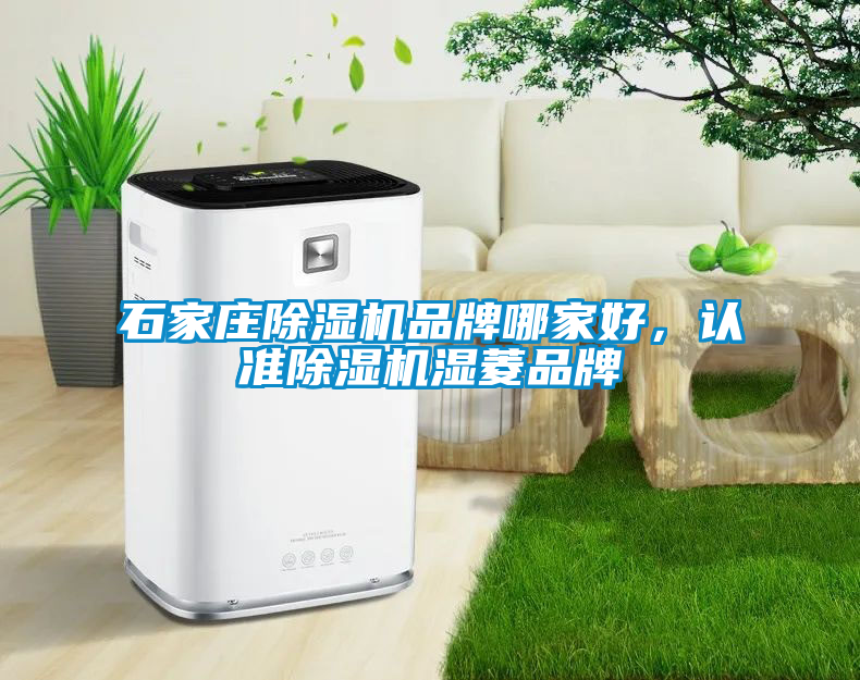 石家莊除濕機品牌哪家好,認準除濕機濕菱品牌