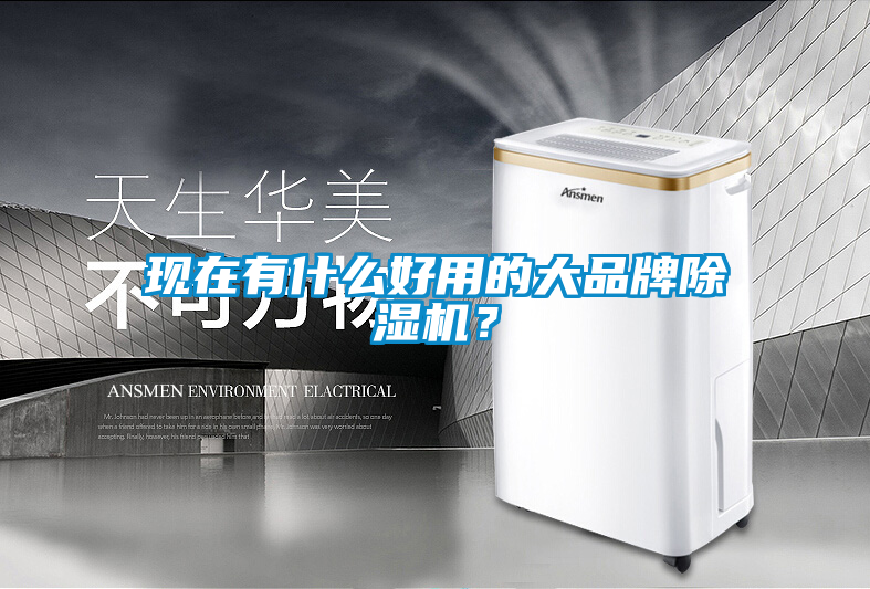 現(xiàn)在有什么好用的大品牌除濕機？