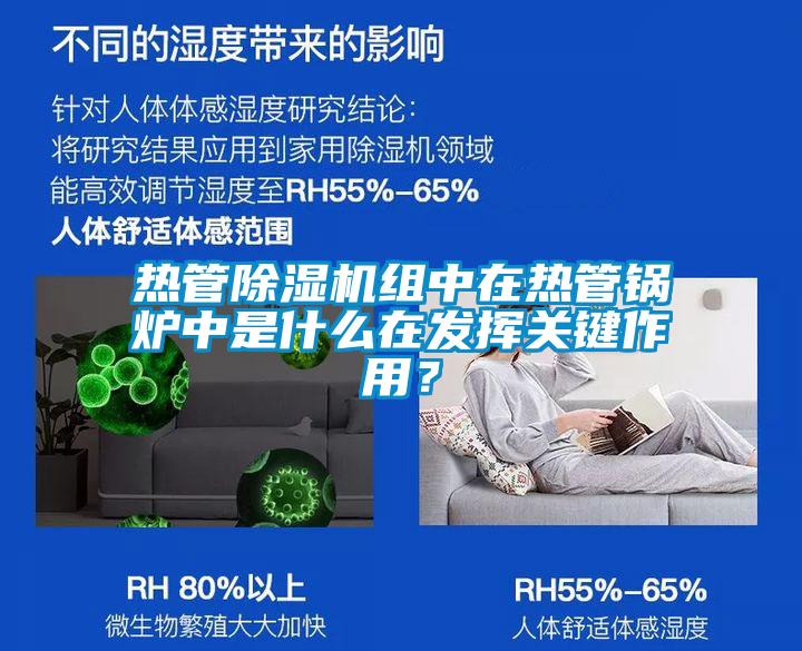 熱管除濕機(jī)組中在熱管鍋爐中是什么在發(fā)揮關(guān)鍵作用？