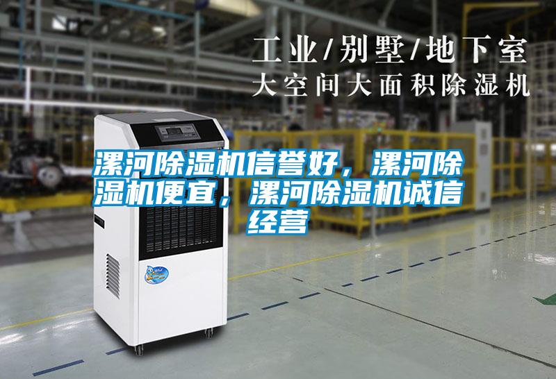 漯河除濕機(jī)信譽(yù)好，漯河除濕機(jī)便宜，漯河除濕機(jī)誠(chéng)信經(jīng)營(yíng)