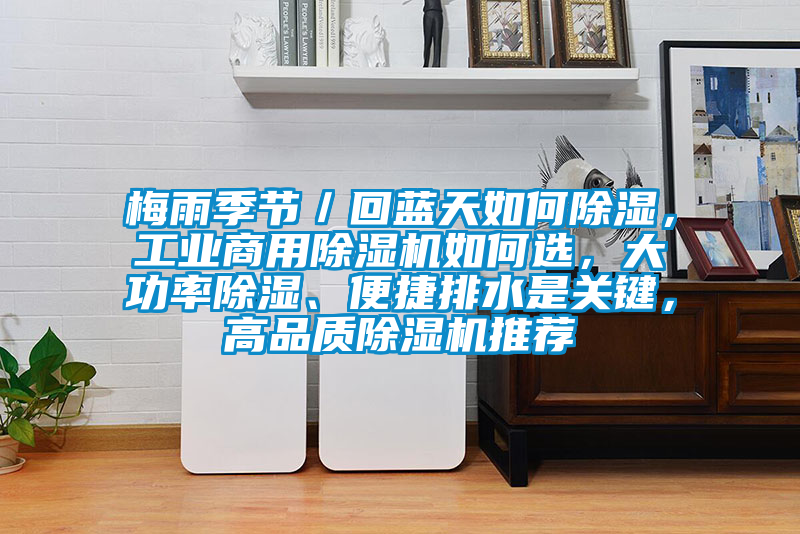 梅雨季節／回藍天如何除濕，工業商用除濕機如何選，大功率除濕、便捷排水是關鍵，高品質除濕機推薦