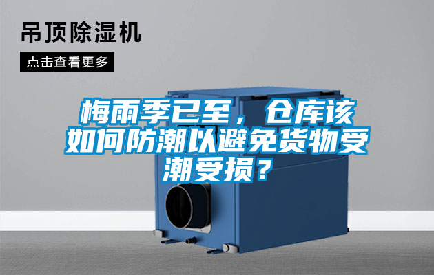 梅雨季已至，倉庫該如何防潮以避免貨物受潮受損？