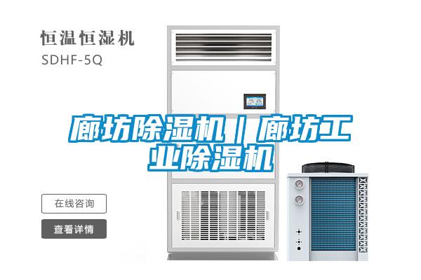 廊坊除濕機|廊坊工業除濕機
