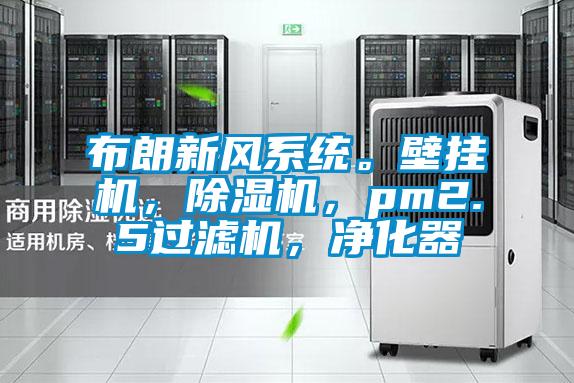 布朗新風系統。壁掛機，除濕機，pm2.5過濾機，凈化器