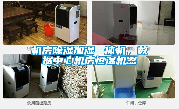 機房除濕加濕一體機，數據中心機房恒濕機器