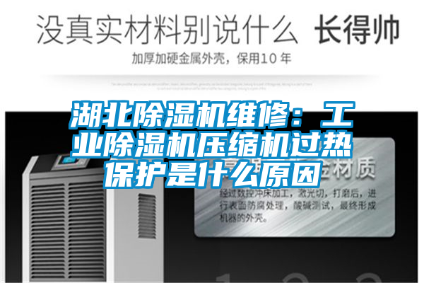 湖北除濕機維修：工業(yè)除濕機壓縮機過熱保護(hù)是什么原因