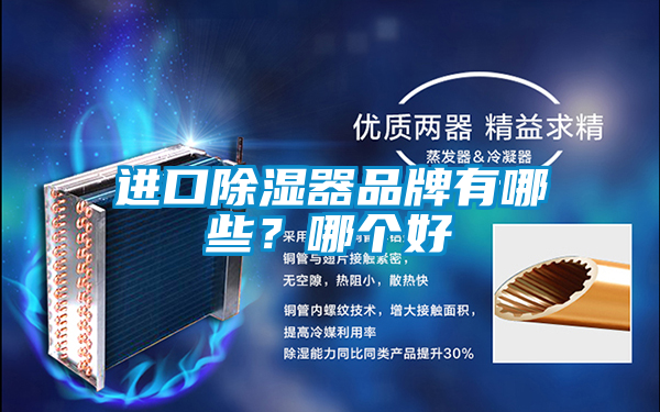 進口除濕器品牌有哪些?哪個好