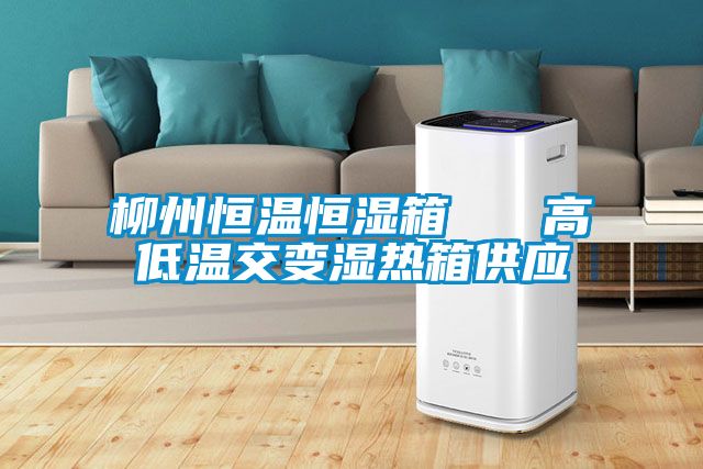 柳州恒溫恒濕箱 高低溫交變濕熱箱供應