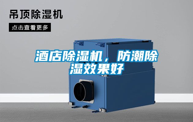 酒店除濕機，防潮除濕效果好