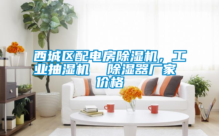 西城區配電房除濕機,工業抽濕機 除濕器廠家 價格