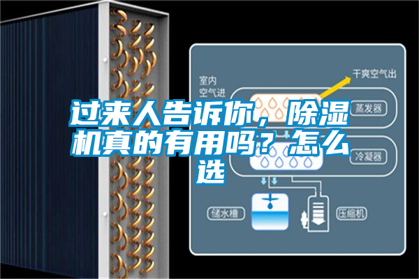 過來人告訴你，除濕機(jī)真的有用嗎？怎么選