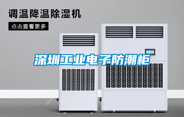 深圳工業電子防潮柜