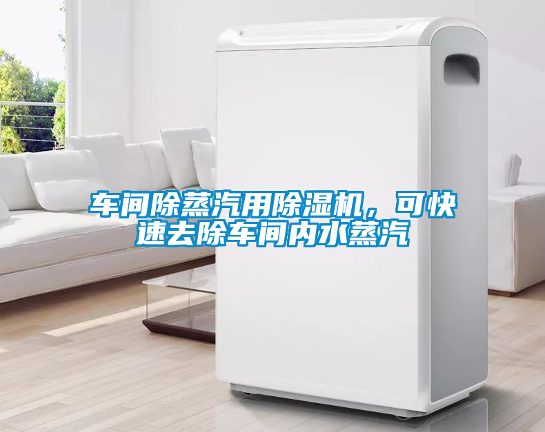 車間除蒸汽用除濕機，可快速去除車間內(nèi)水蒸汽