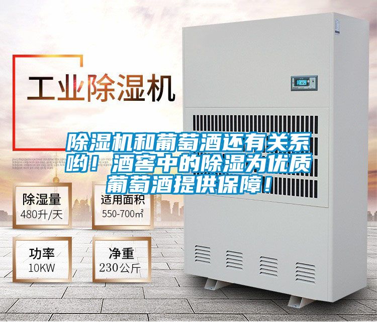 除濕機和葡萄酒還有關系喲！酒窖中的除濕為優質葡萄酒提供保障！