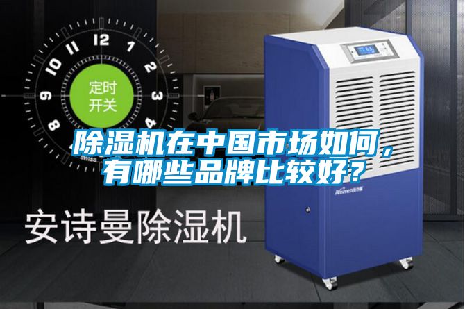 除濕機在中國市場如何，有哪些品牌比較好？