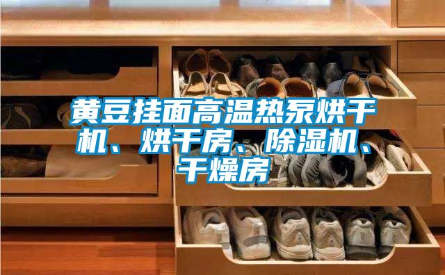 黃豆掛面高溫熱泵烘干機、烘干房、除濕機、干燥房